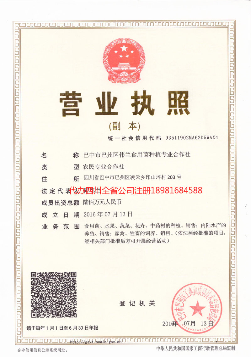 钦州钦州伟兰食用菌种植专业合作社